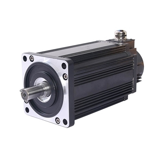 DC servo motor