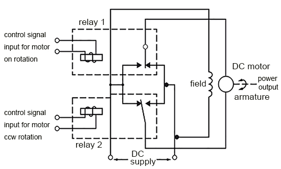 Shunt motor control with damping